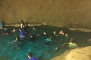 WhatsApp Image 2018-09-10 at 08.10.24 (2) WhatsApp Image 2018-09-10 at 08.10.24 (2)