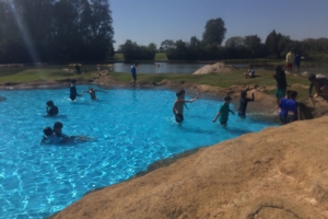 WhatsApp Image 2018-09-10 at 08.10.26 WhatsApp Image 2018-09-10 at 08.10.26