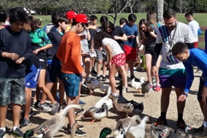 WhatsApp Image 2018-09-10 at 08.12.06 (1) WhatsApp Image 2018-09-10 at 08.12.06 (1)