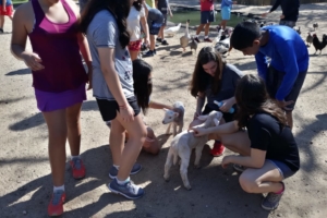 WhatsApp Image 2018-09-10 at 08.12.06 (2) WhatsApp Image 2018-09-10 at 08.12.06 (2)