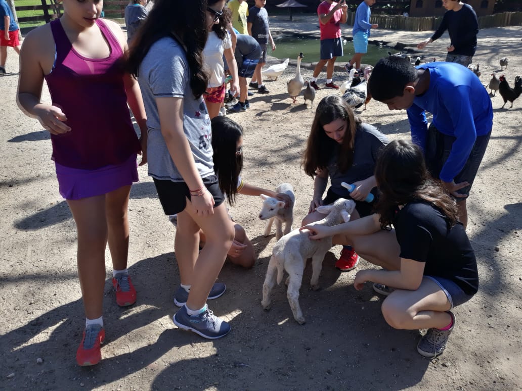 WhatsApp Image 2018-09-10 at 08.12.06 (2) WhatsApp Image 2018-09-10 at 08.12.06 (2)