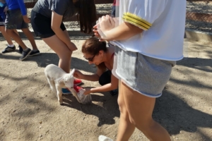 WhatsApp Image 2018-09-10 at 08.12.07 (1) WhatsApp Image 2018-09-10 at 08.12.07 (1)