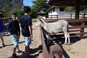 WhatsApp Image 2018-09-10 at 08.12.07 WhatsApp Image 2018-09-10 at 08.12.07