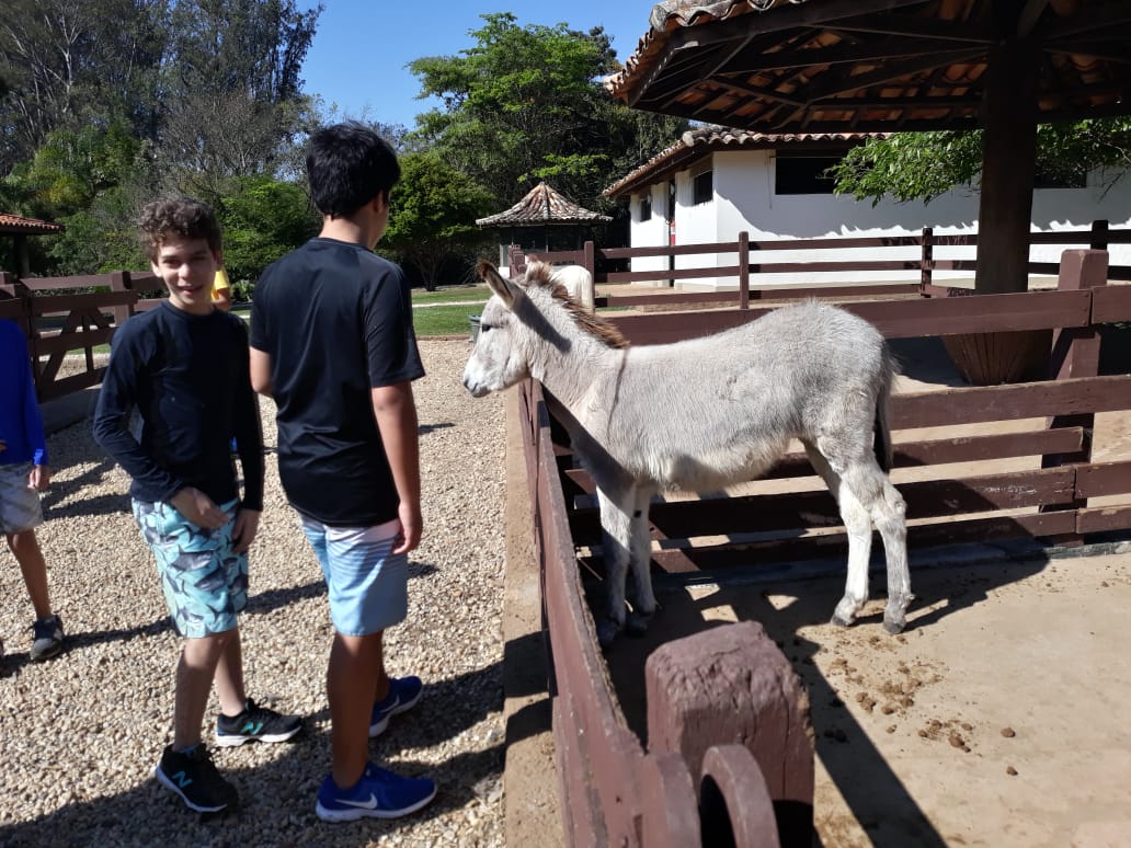 WhatsApp Image 2018-09-10 at 08.12.07 WhatsApp Image 2018-09-10 at 08.12.07