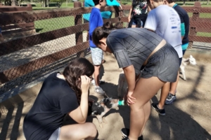 WhatsApp Image 2018-09-10 at 08.12.08 (1) WhatsApp Image 2018-09-10 at 08.12.08 (1)