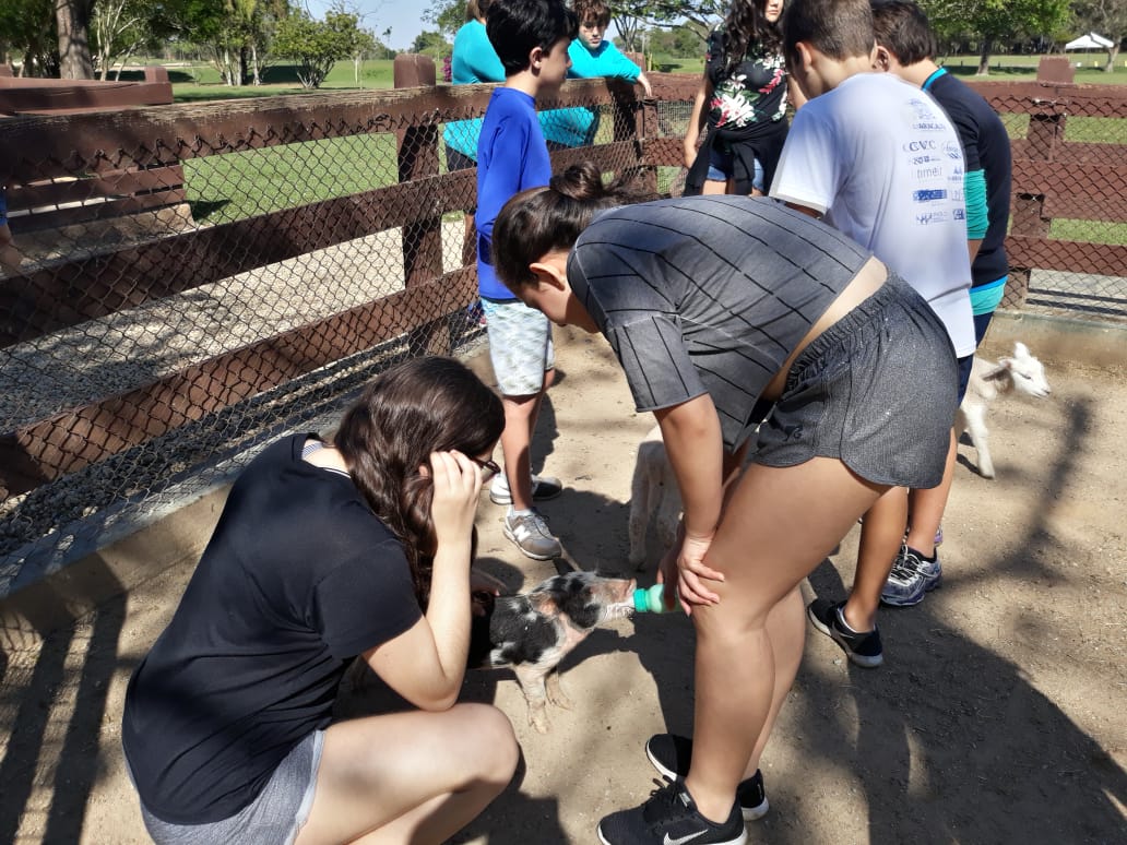 WhatsApp Image 2018-09-10 at 08.12.08 (1) WhatsApp Image 2018-09-10 at 08.12.08 (1)