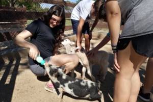 WhatsApp Image 2018-09-10 at 08.12.08 (2) WhatsApp Image 2018-09-10 at 08.12.08 (2)