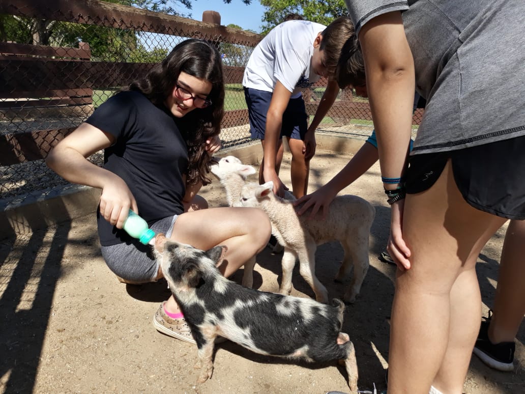 WhatsApp Image 2018-09-10 at 08.12.08 (2) WhatsApp Image 2018-09-10 at 08.12.08 (2)