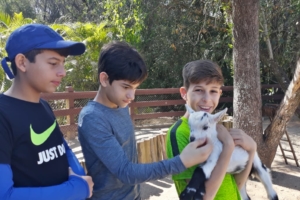 WhatsApp Image 2018-09-10 at 08.12.13 (1) WhatsApp Image 2018-09-10 at 08.12.13 (1)