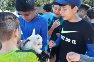 WhatsApp Image 2018-09-10 at 08.12.14 WhatsApp Image 2018-09-10 at 08.12.14