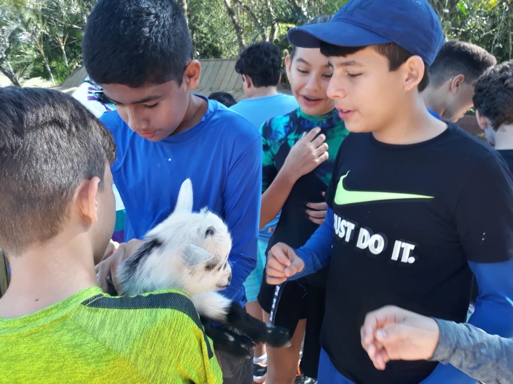 WhatsApp Image 2018-09-10 at 08.12.14 WhatsApp Image 2018-09-10 at 08.12.14