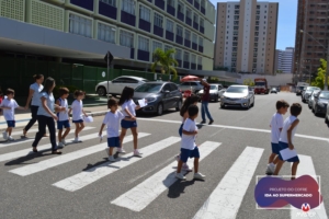 1_0051_16 copiar 51 1_0051_16 copiar 51