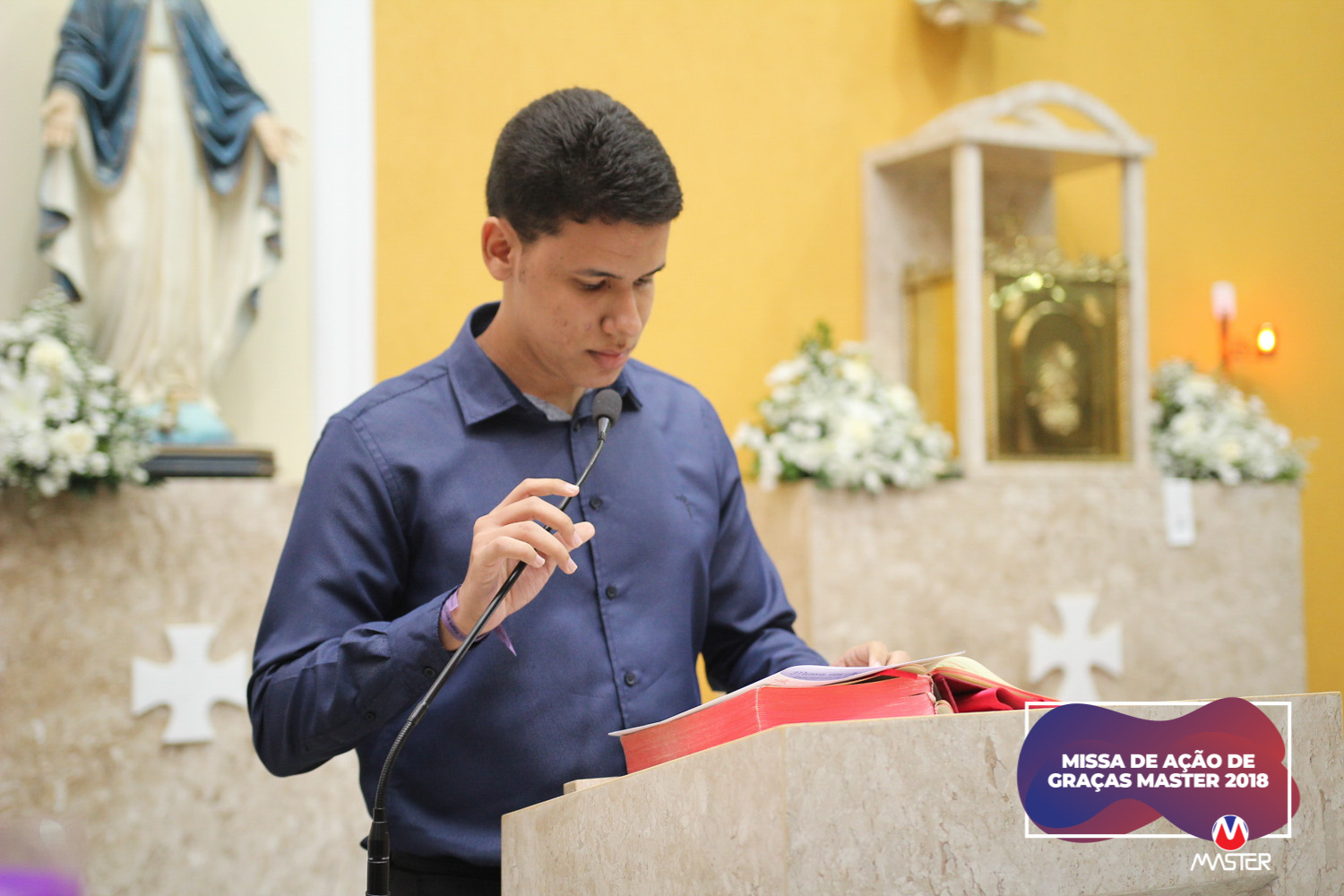 IMG_3752-2 IMG_3752-2