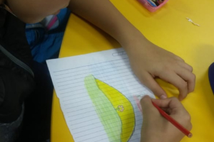 Dinamica_Flor_Miriam (22) Dinamica_Flor_Miriam (22)