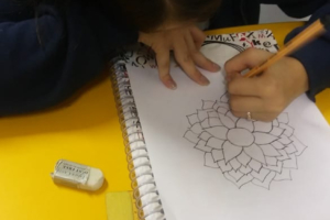 Dinamica_Flor_Miriam (29) Dinamica_Flor_Miriam (29)