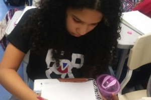 Dinamica_Flor_Miriam (38) Dinamica_Flor_Miriam (38)