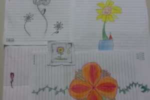 Dinamica_Flor_Miriam (43) Dinamica_Flor_Miriam (43)