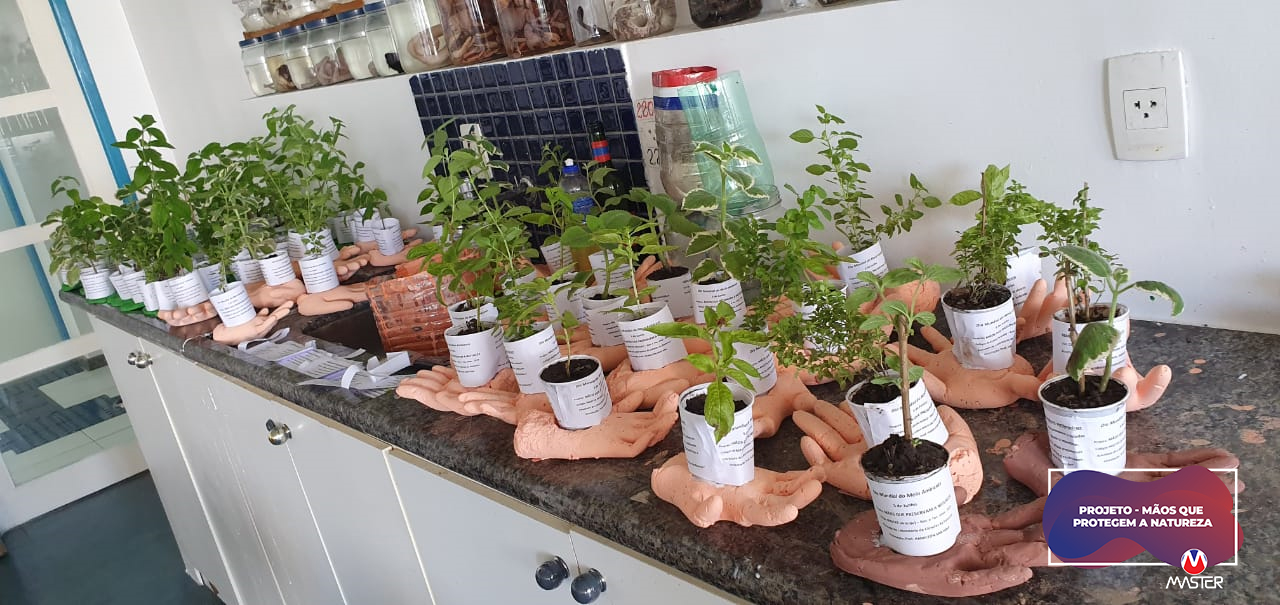 Sem Título-1_0005_Selo dma copiar 5 Sem Título-1_0005_Selo dma copiar 5