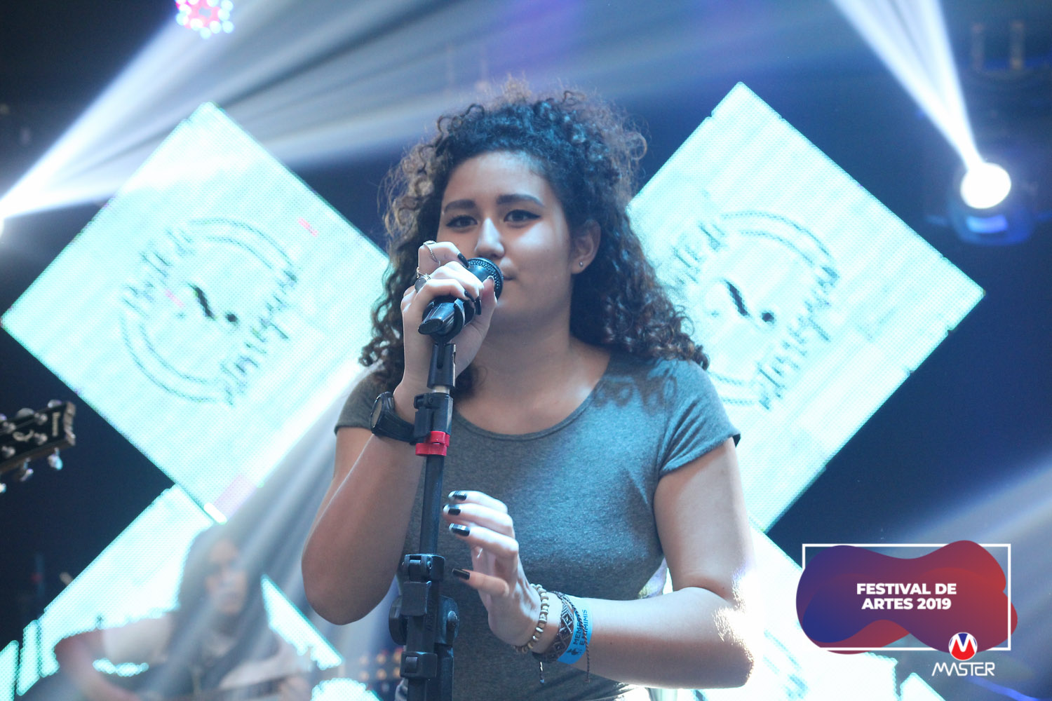 Festival de Artes (108) Festival de Artes (108)