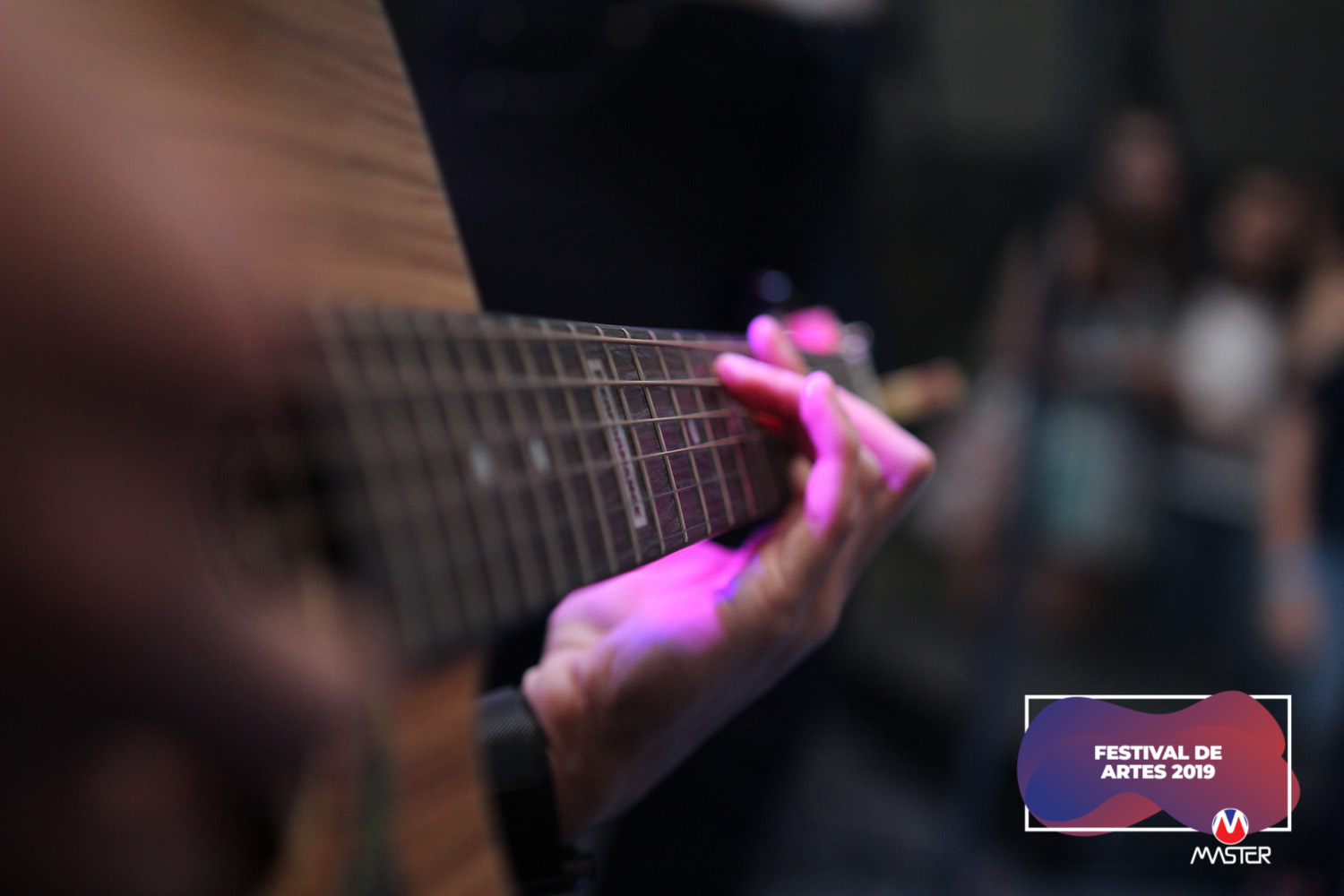 Festival de Artes (133) Festival de Artes (133)