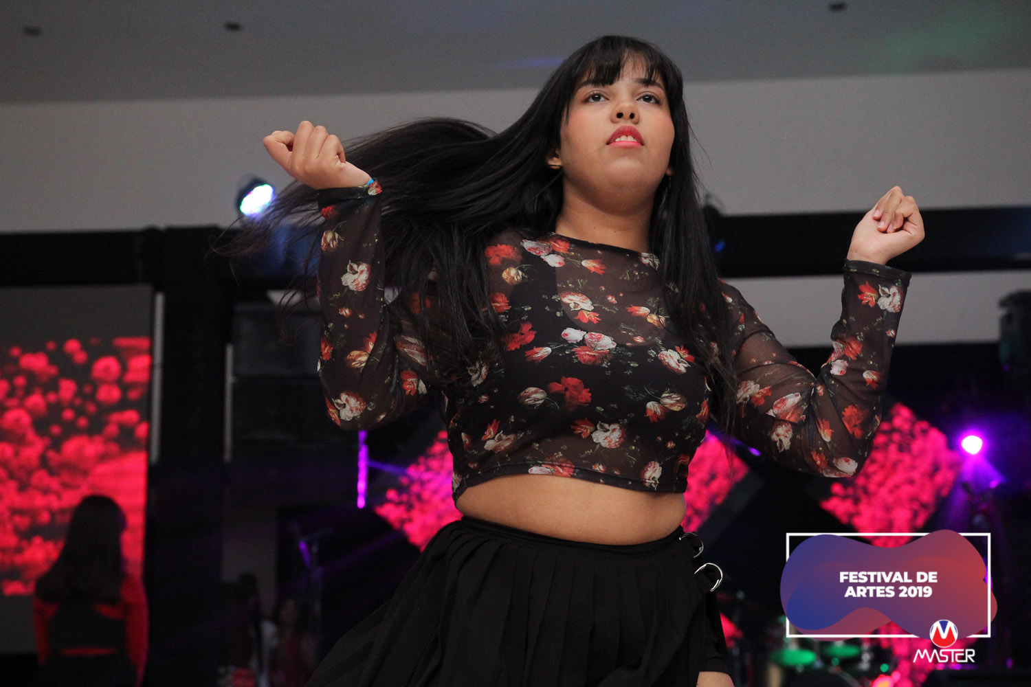 Festival de Artes (190) Festival de Artes (190)