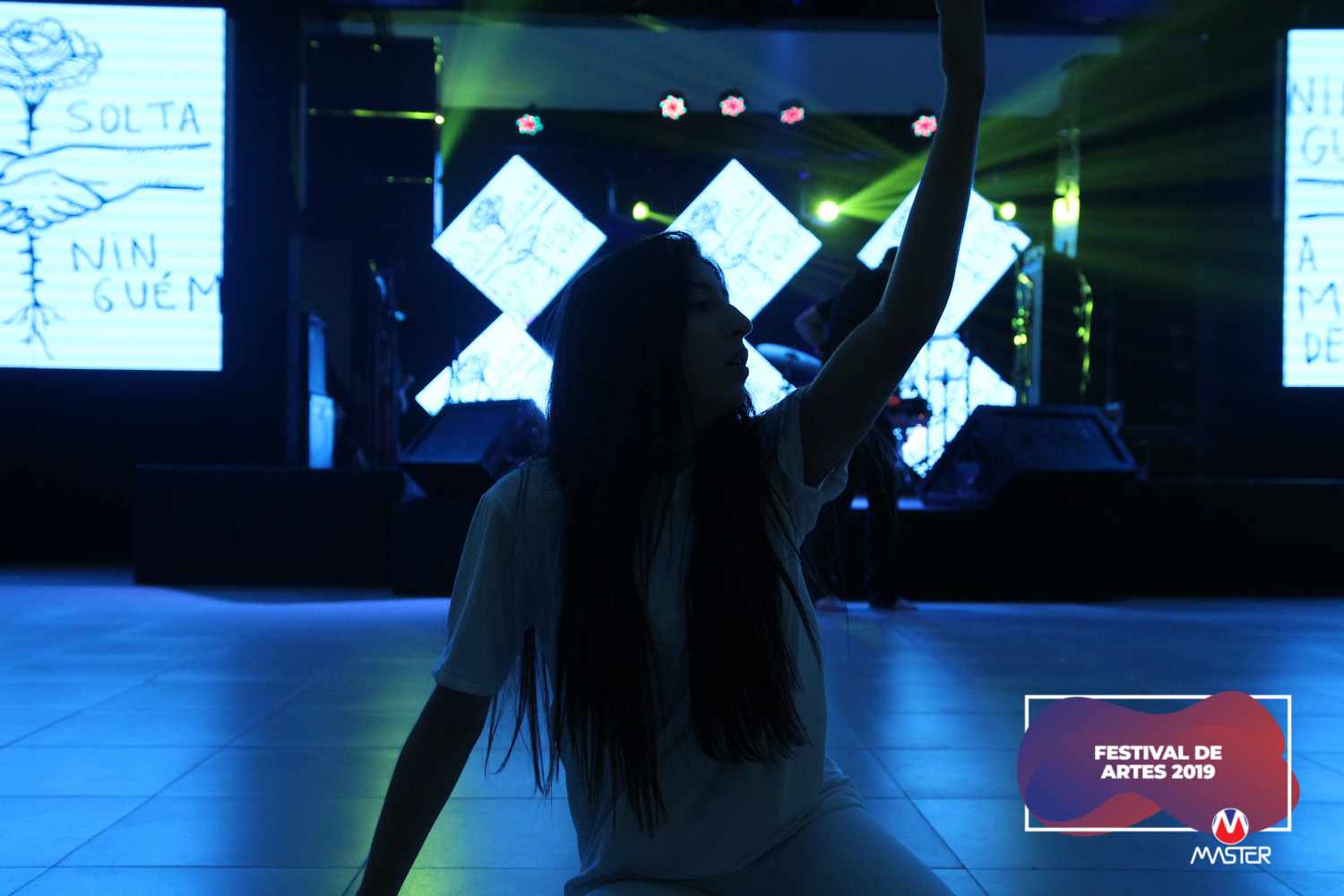 Festival de Artes (212) Festival de Artes (212)