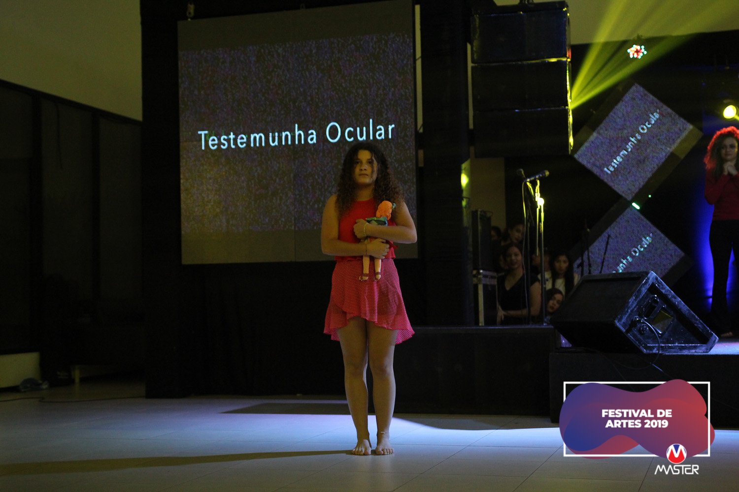 Festival de Artes (239) Festival de Artes (239)