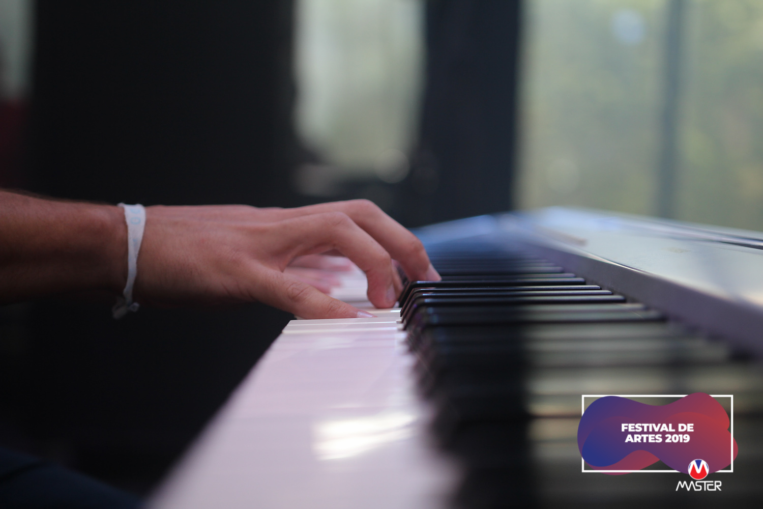 Festival de Artes (24) Festival de Artes (24)