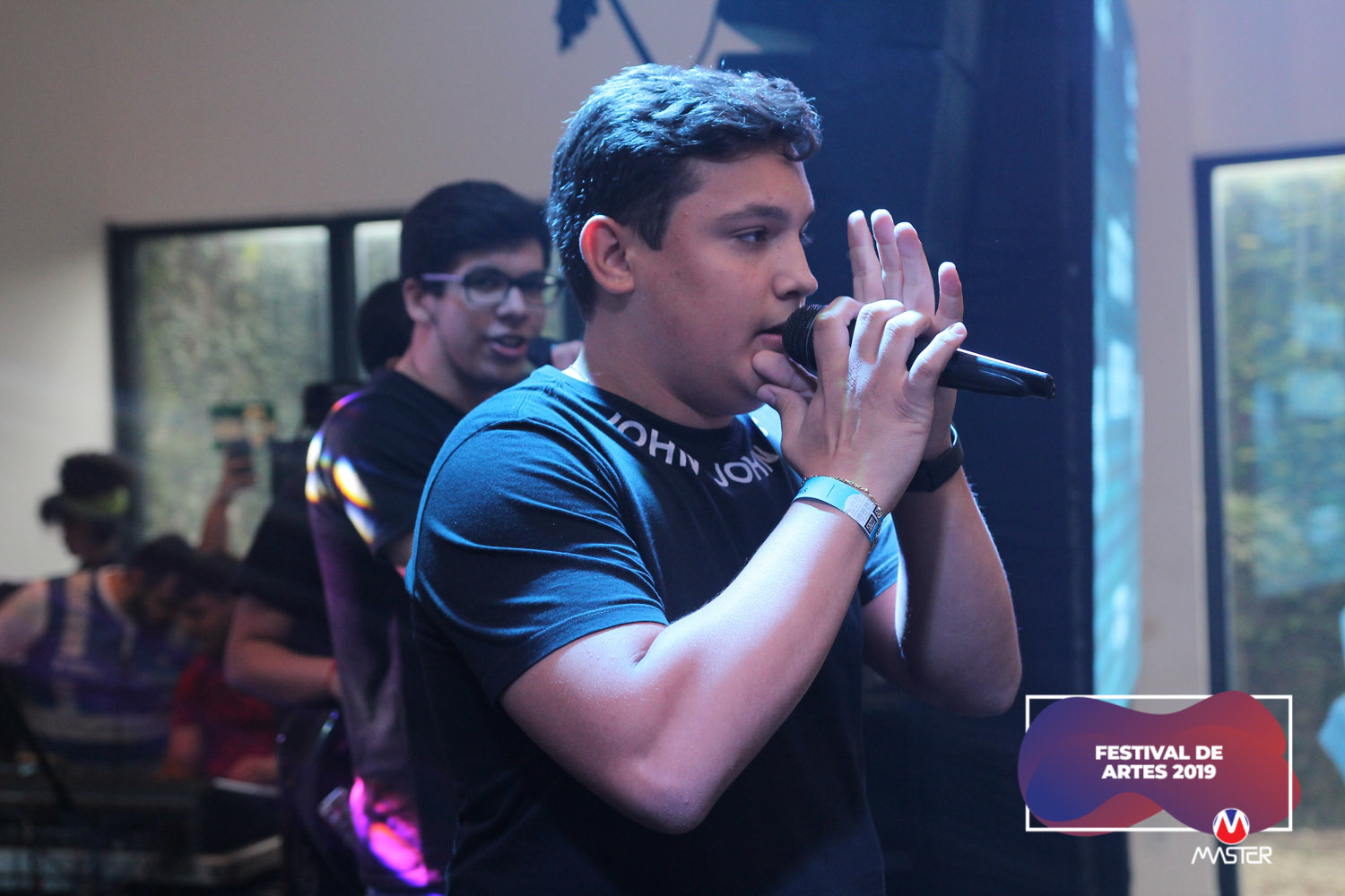 Festival de Artes (71) Festival de Artes (71)