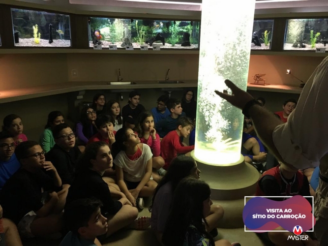 WhatsApp Image 2019-10-03 at 13.23.19 (1) WhatsApp Image 2019-10-03 at 13.23.19 (1)