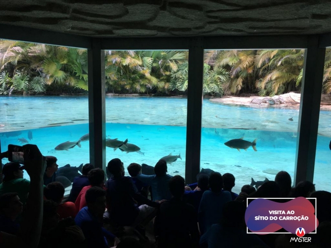 WhatsApp Image 2019-10-03 at 13.23.19 (2) WhatsApp Image 2019-10-03 at 13.23.19 (2)