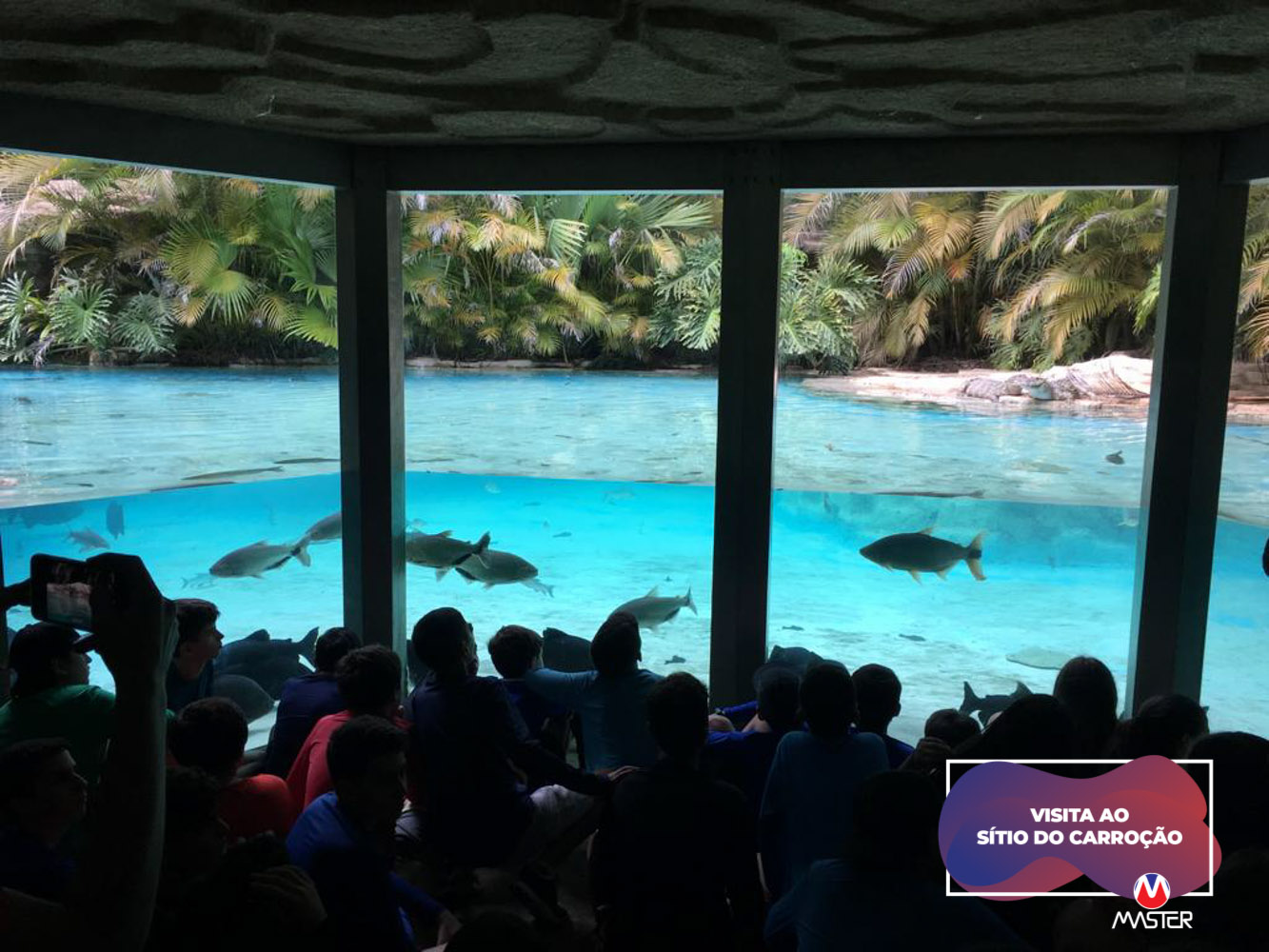 WhatsApp Image 2019-10-03 at 13.23.19 (2) WhatsApp Image 2019-10-03 at 13.23.19 (2)