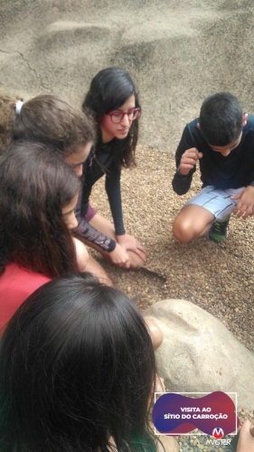 WhatsApp Image 2019-10-03 at 13.26.03 WhatsApp Image 2019-10-03 at 13.26.03