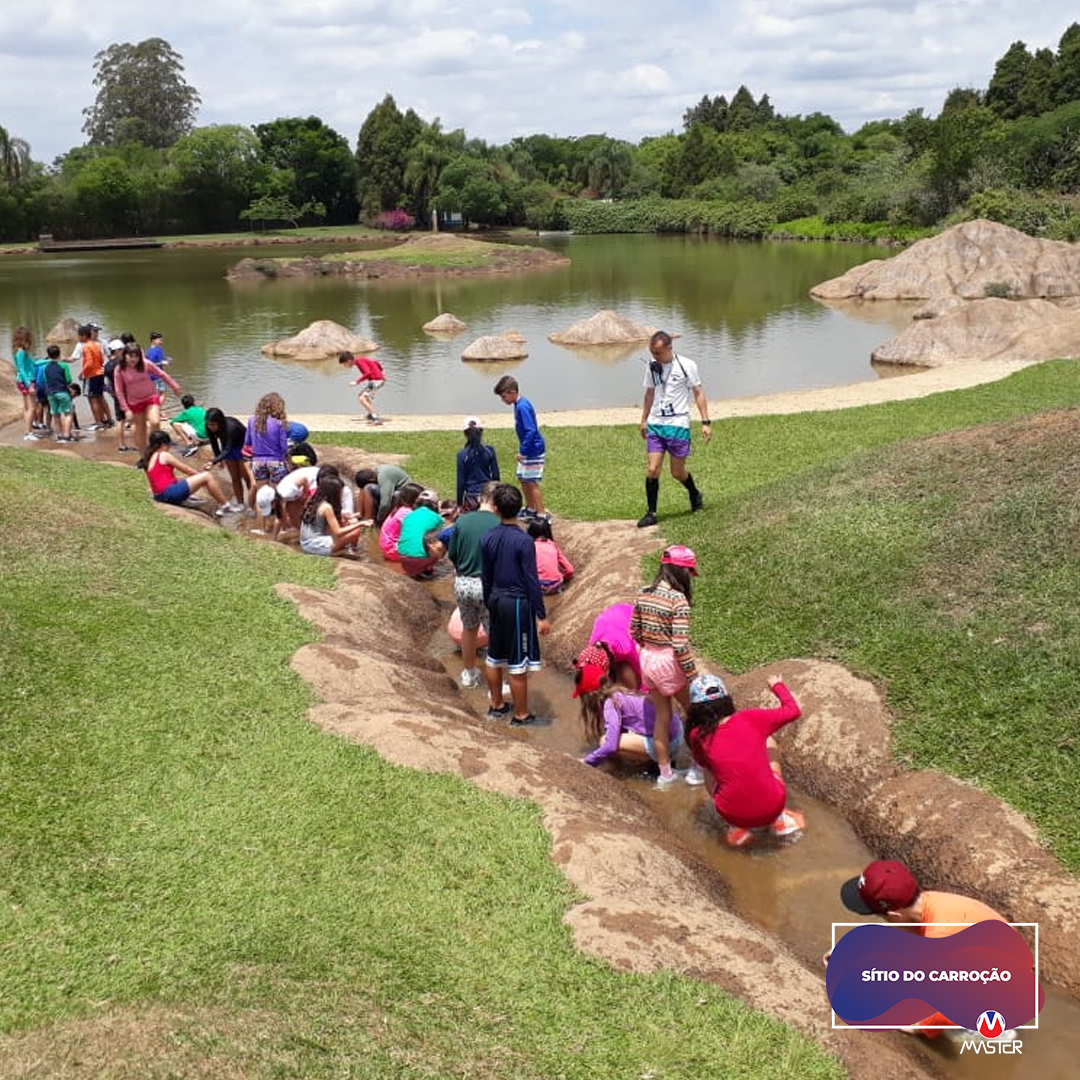 Carroção_0000s_0002_Carroção11 copiar 2 Carroção_0000s_0002_Carroção11 copiar 2