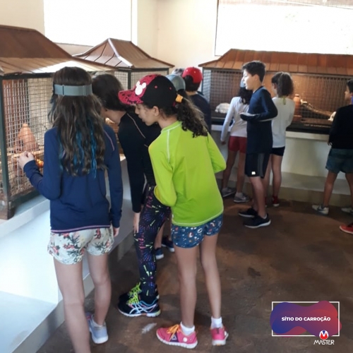 Carroção_0000s_0008_Carroção11 copiar 8 Carroção_0000s_0008_Carroção11 copiar 8