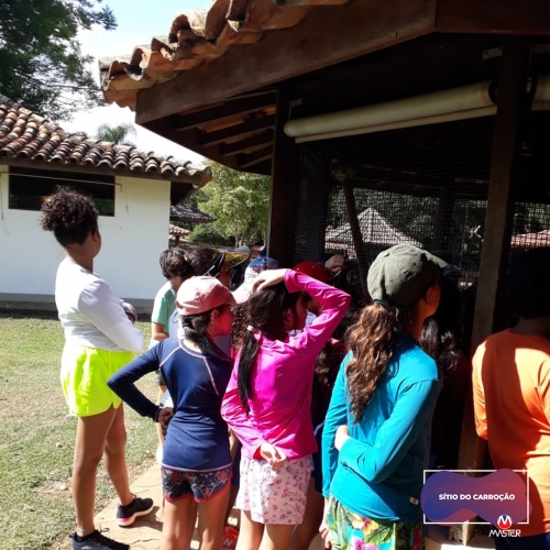 Carroção_0000s_0009_Carroção11 copiar 9 Carroção_0000s_0009_Carroção11 copiar 9