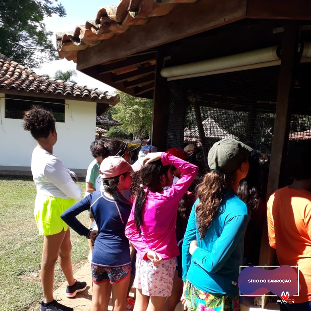 Carroção_0000s_0009_Carroção11 copiar 9 Carroção_0000s_0009_Carroção11 copiar 9