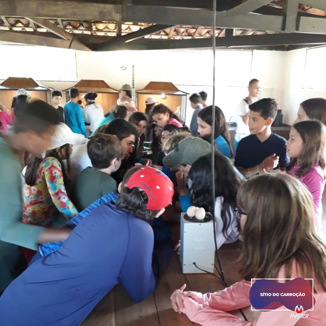 Carroção_0000s_0010_Carroção11 copiar 10 Carroção_0000s_0010_Carroção11 copiar 10