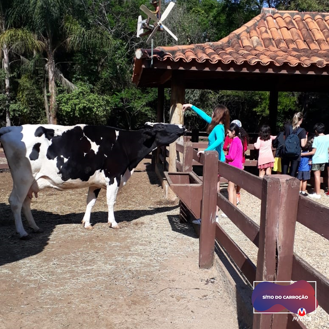 Carroção_0000s_0013_Carroção11 copiar 13 Carroção_0000s_0013_Carroção11 copiar 13