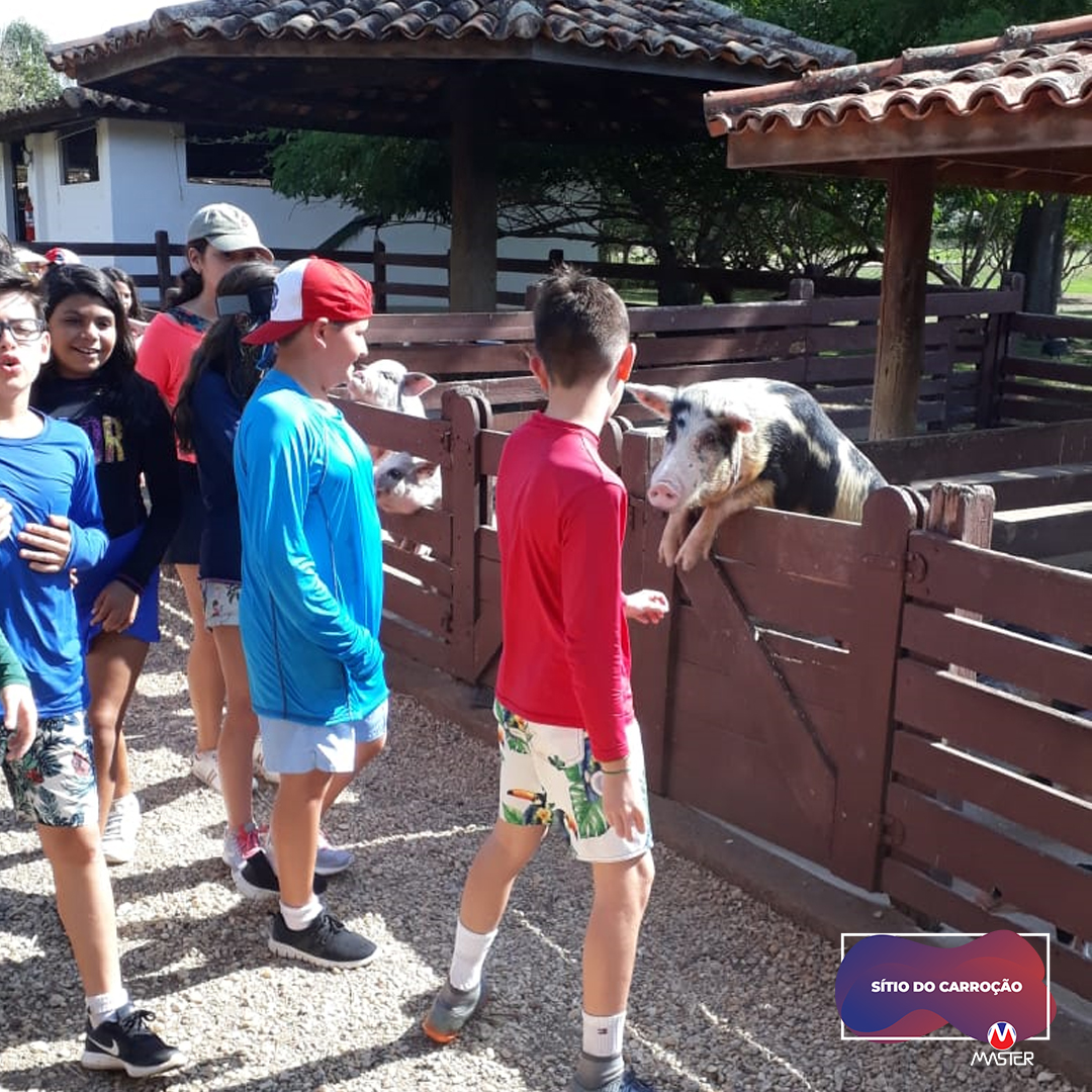 Carroção_0000s_0014_Carroção11 copiar 14 Carroção_0000s_0014_Carroção11 copiar 14