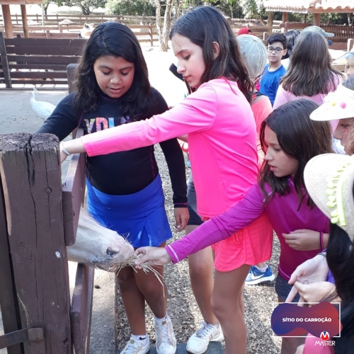 Carroção_0000s_0015_Carroção11 copiar 15 Carroção_0000s_0015_Carroção11 copiar 15