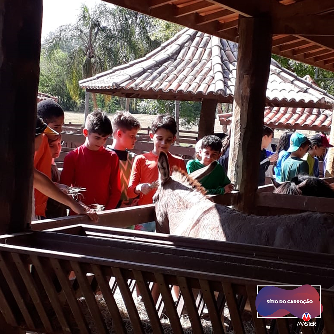 Carroção_0000s_0016_Carroção11 copiar 16 Carroção_0000s_0016_Carroção11 copiar 16