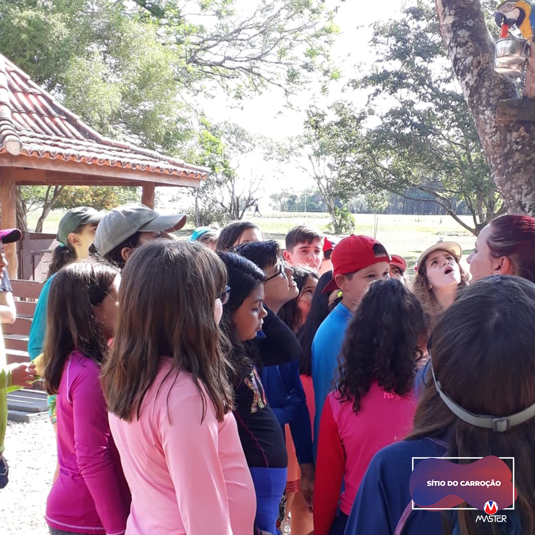 Carroção_0000s_0017_Carroção11 copiar 17 Carroção_0000s_0017_Carroção11 copiar 17