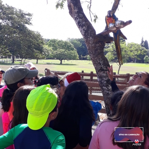 Carroção_0000s_0018_Carroção11 copiar 18 Carroção_0000s_0018_Carroção11 copiar 18