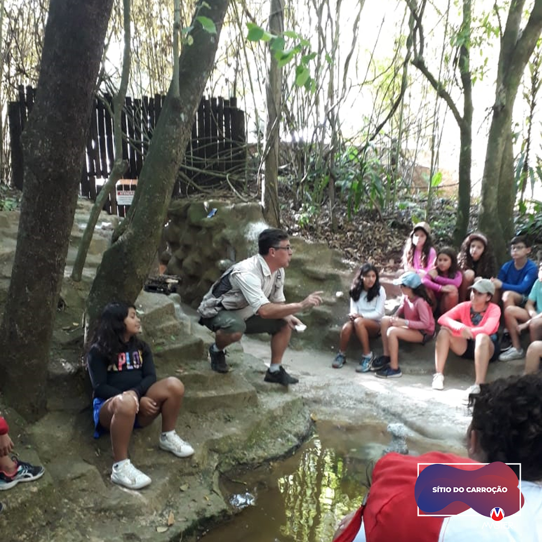 Carroção_0000s_0019_Carroção11 copiar 19 Carroção_0000s_0019_Carroção11 copiar 19