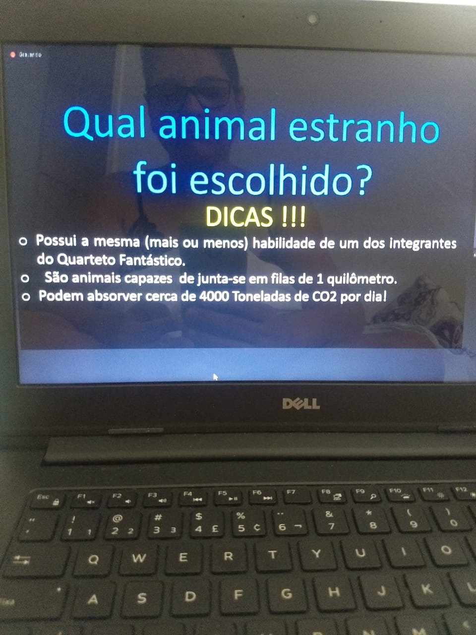 WhatsApp Image 2020-08-13 at 10.01.13 (1) WhatsApp Image 2020-08-13 at 10.01.13 (1)