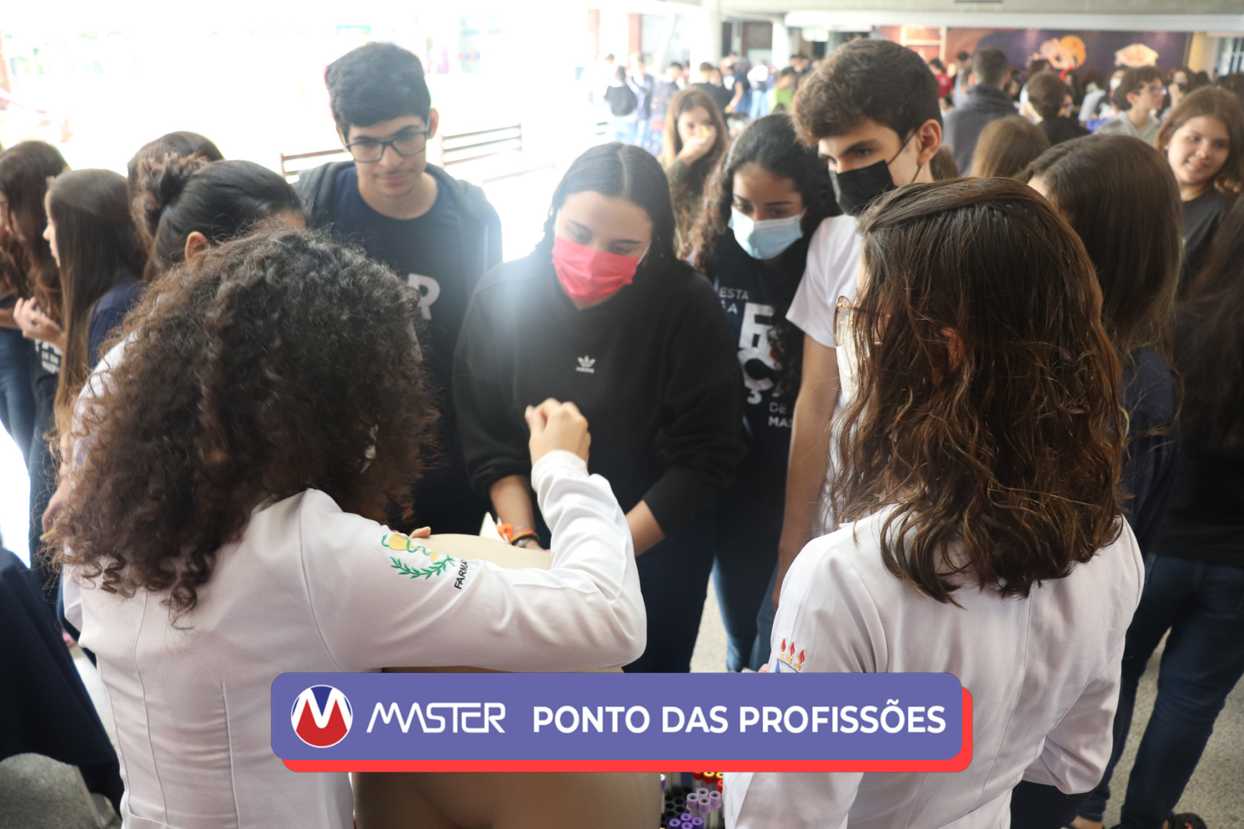 IMG_4204-2 IMG_4204-2