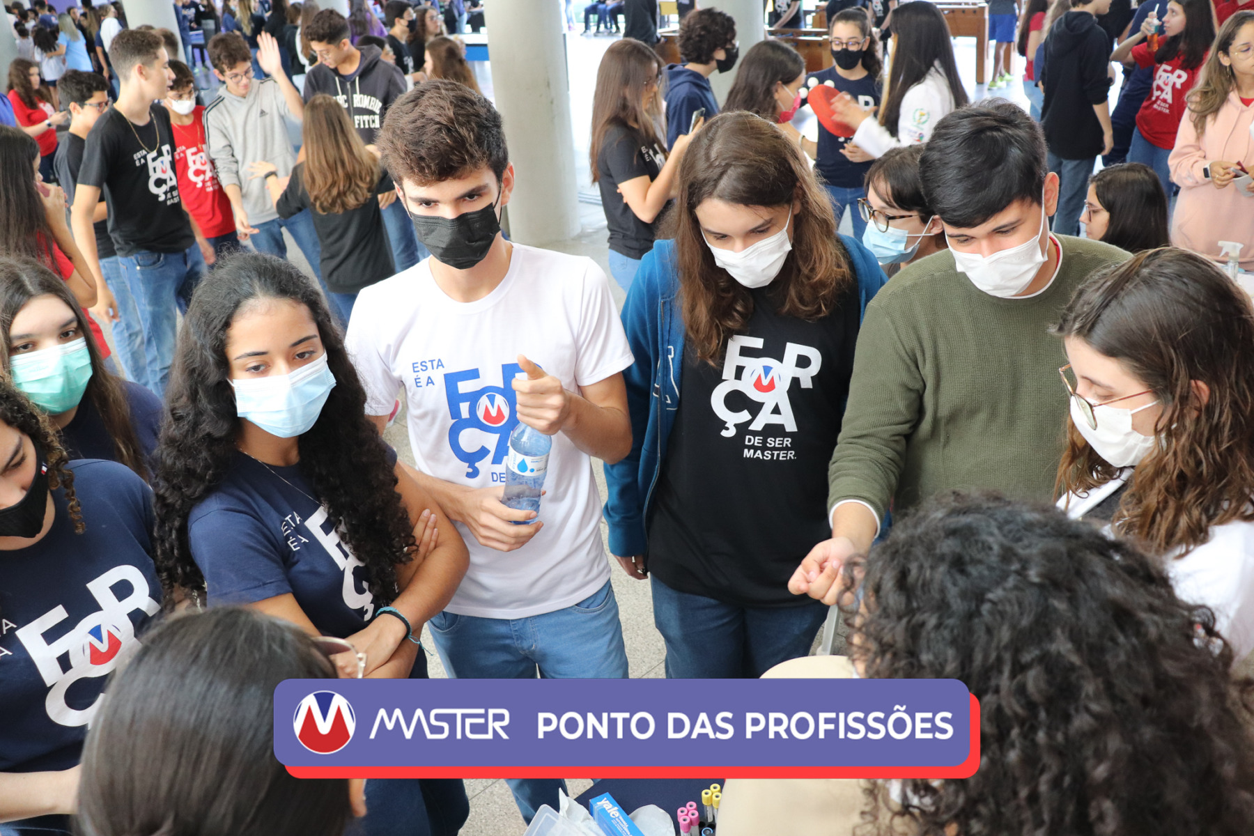 IMG_4235-2 IMG_4235-2