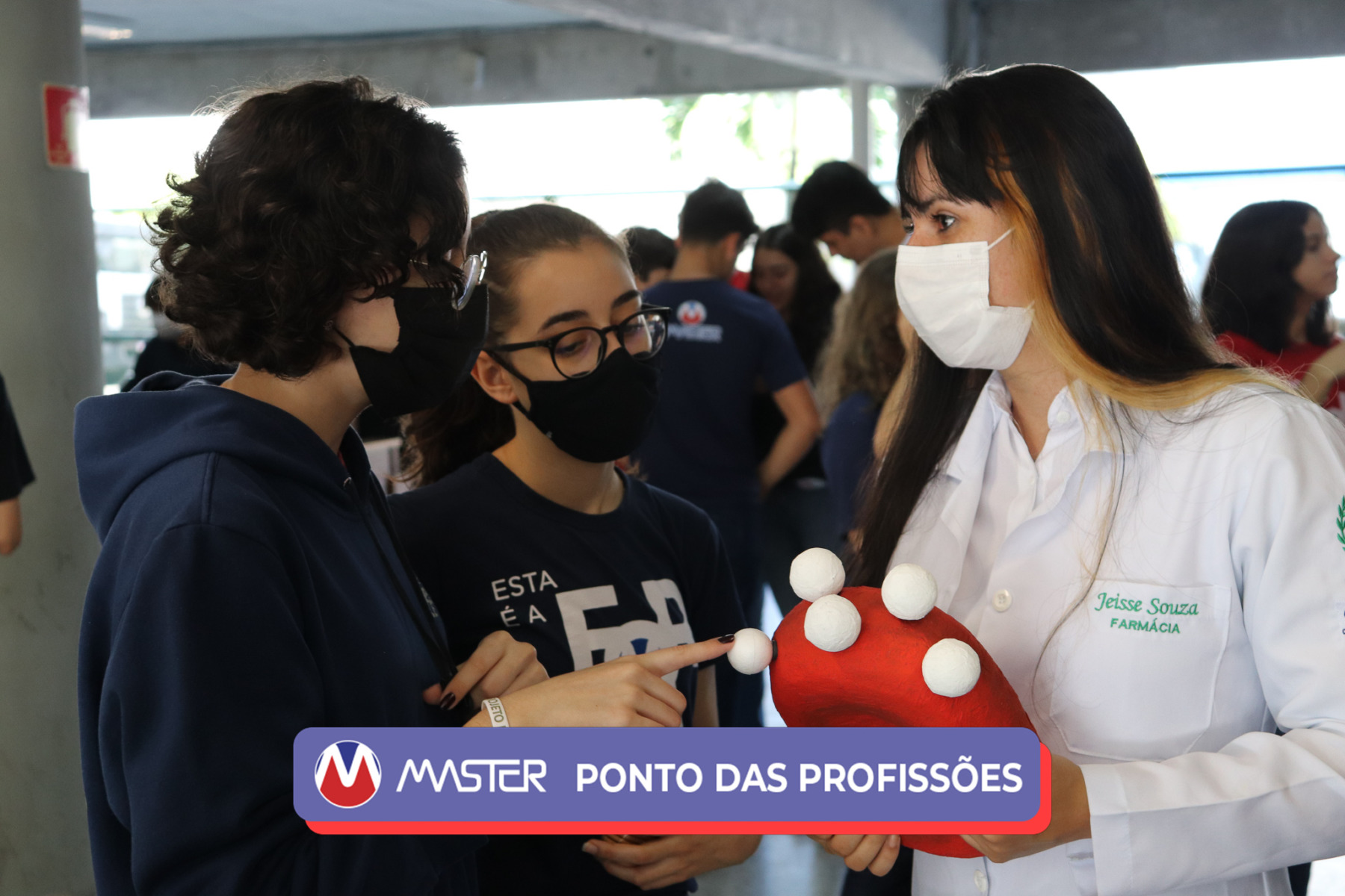 IMG_4240-2 IMG_4240-2