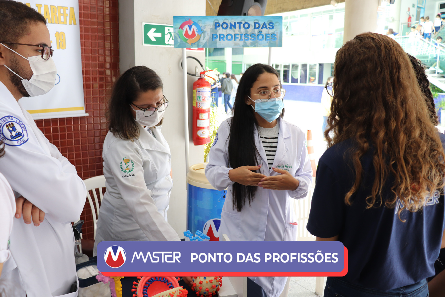 IMG_4243-2 IMG_4243-2